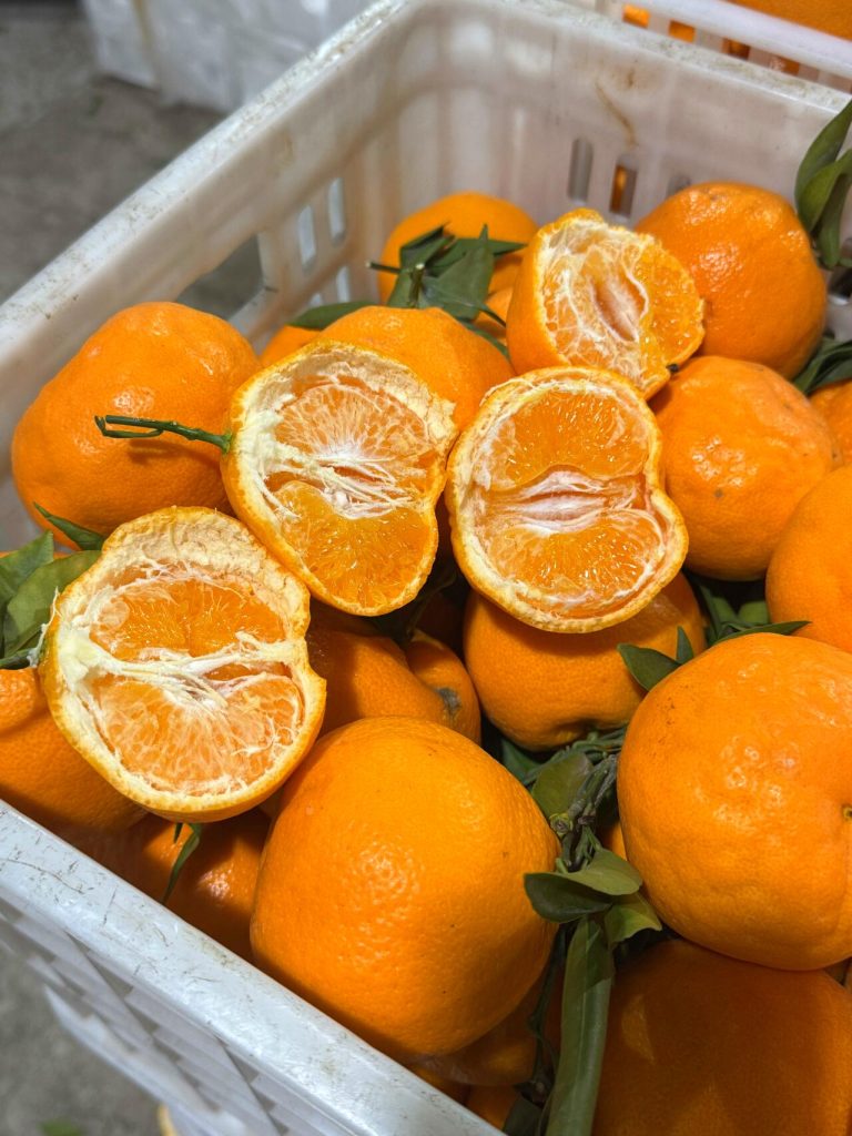 Экспортные мандарины Папаган – выгодное предложение для дистрибьюторов