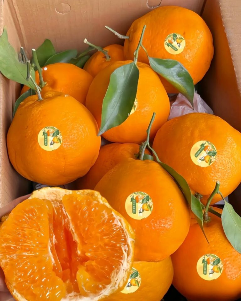 Китайские мандарины Папаган – сладкий вкус для импорта в Россию