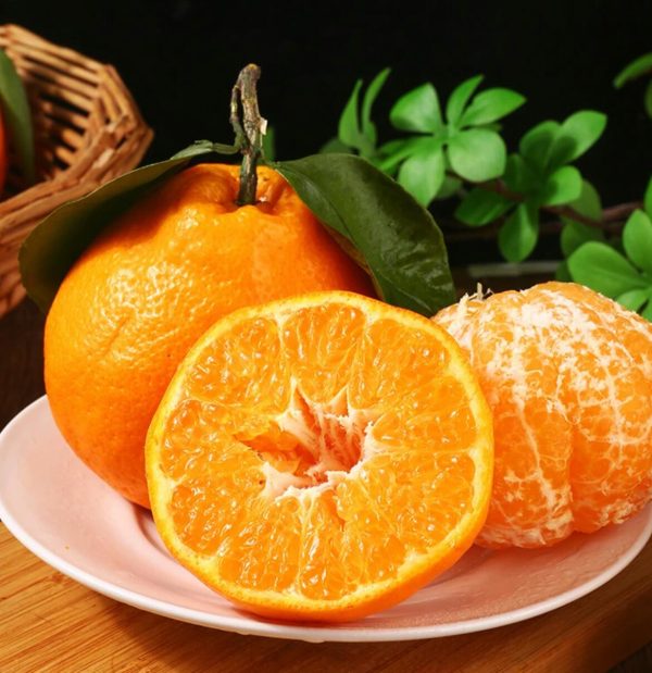 мандарин Чунцзянь chunjian orange papagan orange papagan mandarin — изображение 5