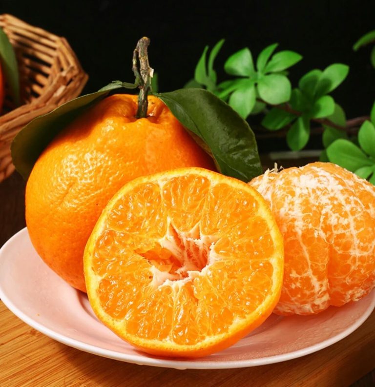 Новый урожай Чуньцзян апельсинов – сладкие мандарины на зиму