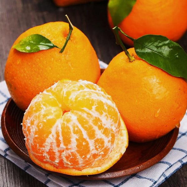 мандарин Чунцзянь chunjian orange papagan orange papagan mandarin — изображение 2