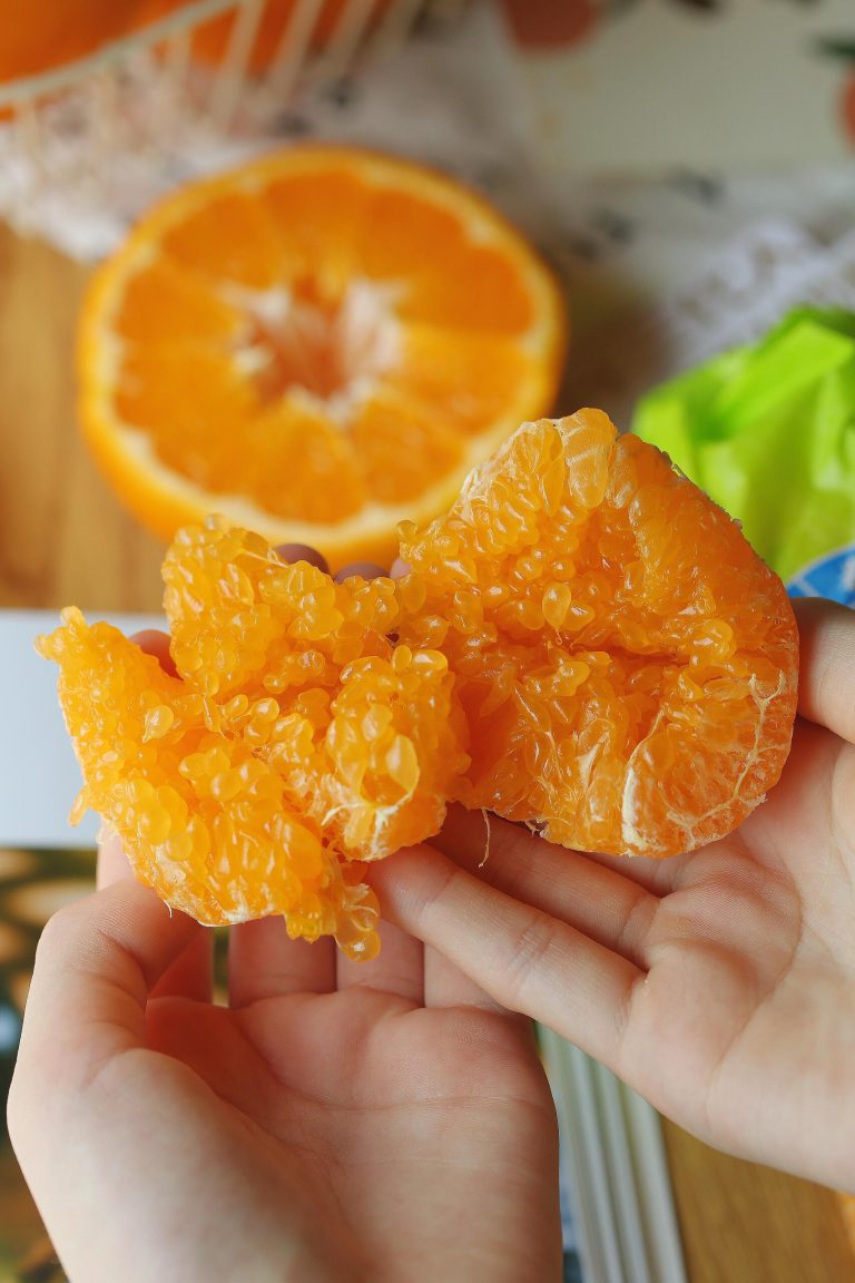 Оптовые поставки мандаринов Чунцзянь – сладкие цитрусовые для зимнего сезона