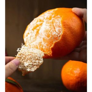 мандарин Ганьпин（Kanpei orange) 	Ganping Mandarin
