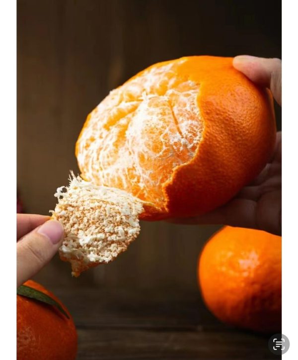 мандарин Ганьпин（Kanpei orange) 	Ganping Mandarin