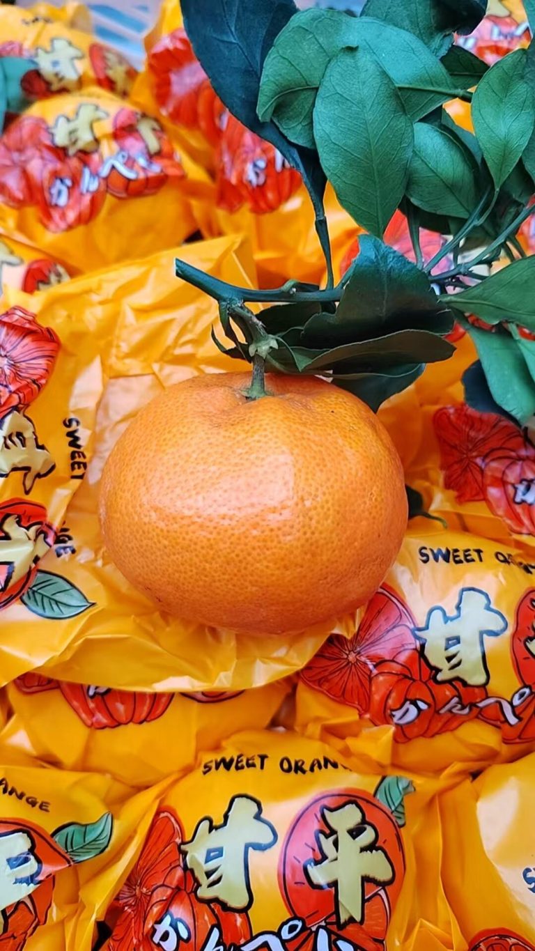 Мандарин Ganping: высокая сахаристость и долгий срок хранения